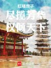 红楼庶子:尽揽芳华,权倾天下