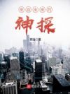 来自未来的神探